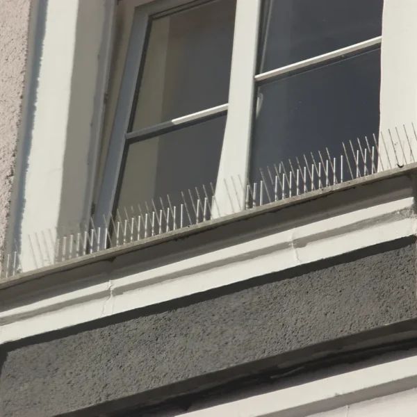 Bird spikes installation