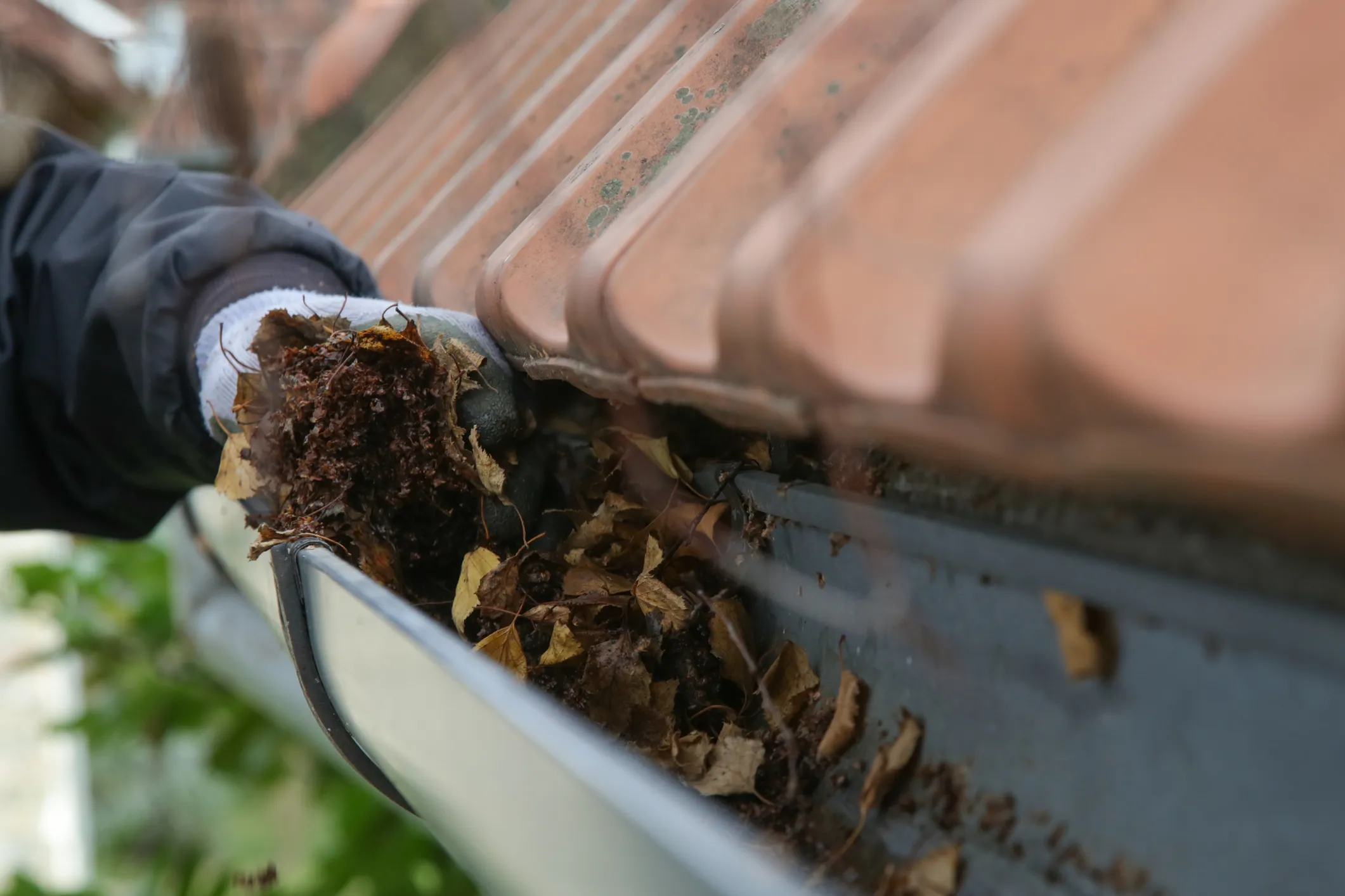 Professional cleaner removing dirt from gutters