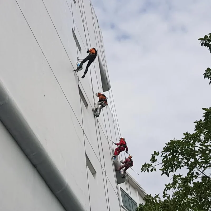 A team of expert facade cleaners on the exterior of a building
