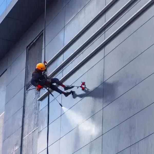 Facade cleaning specialist company mobile