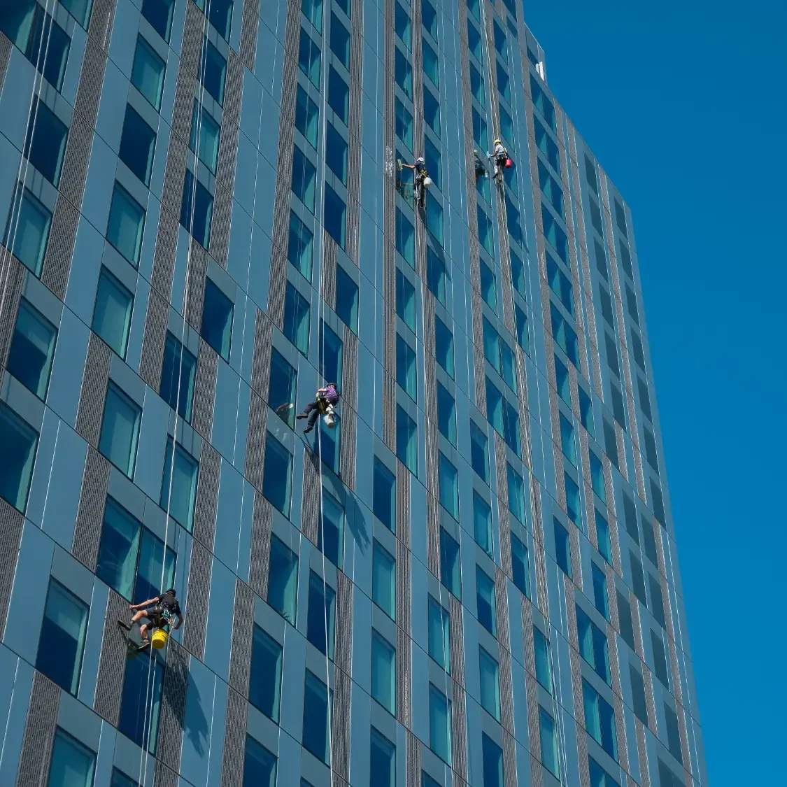 a team of abseilers window cleaners cleaning the glass panels of a high-rise hotel building